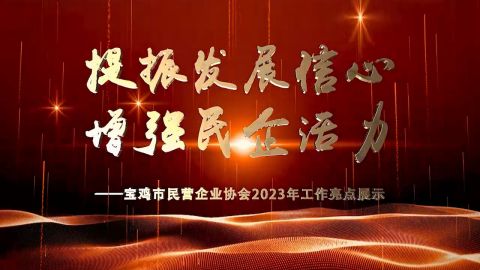 宝鸡市民营企业协会2024年工作亮点展示