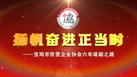 宝鸡市民营企业协会发展纪实